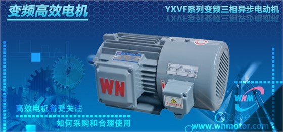 高效电机 高效电机